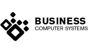 Business Computer Systems